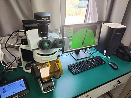 奧林巴斯顯微鏡 奧林巴斯顯微鏡