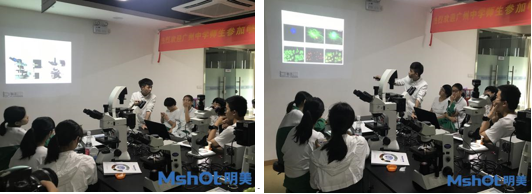 同學(xué)們認(rèn)真聽講 同學(xué)們認(rèn)真聽講