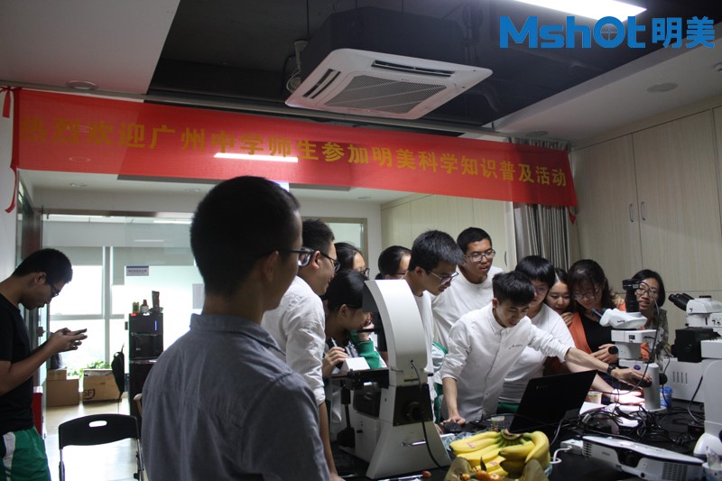 同學(xué)們積極參與動手操作 同學(xué)們積極參與動手操作