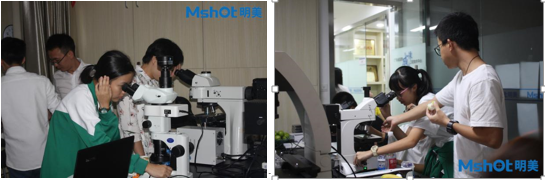 同學(xué)們積極參與動手操作 同學(xué)們積極參與動手操作