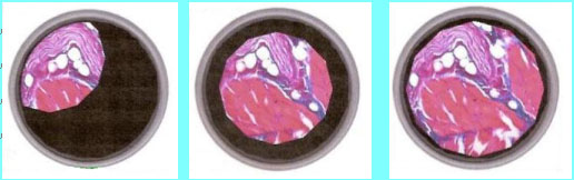 ����{(di��o)ԇ�@΢�R�۹��R?